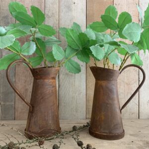 Mooie ijzeren metalen kan