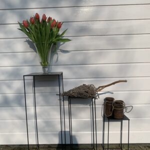 Plantentafeltjes Leuke set van 3